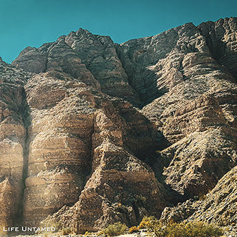 Conquering the Wilds of Anza-Borrego: An Off-Roading Adventure!