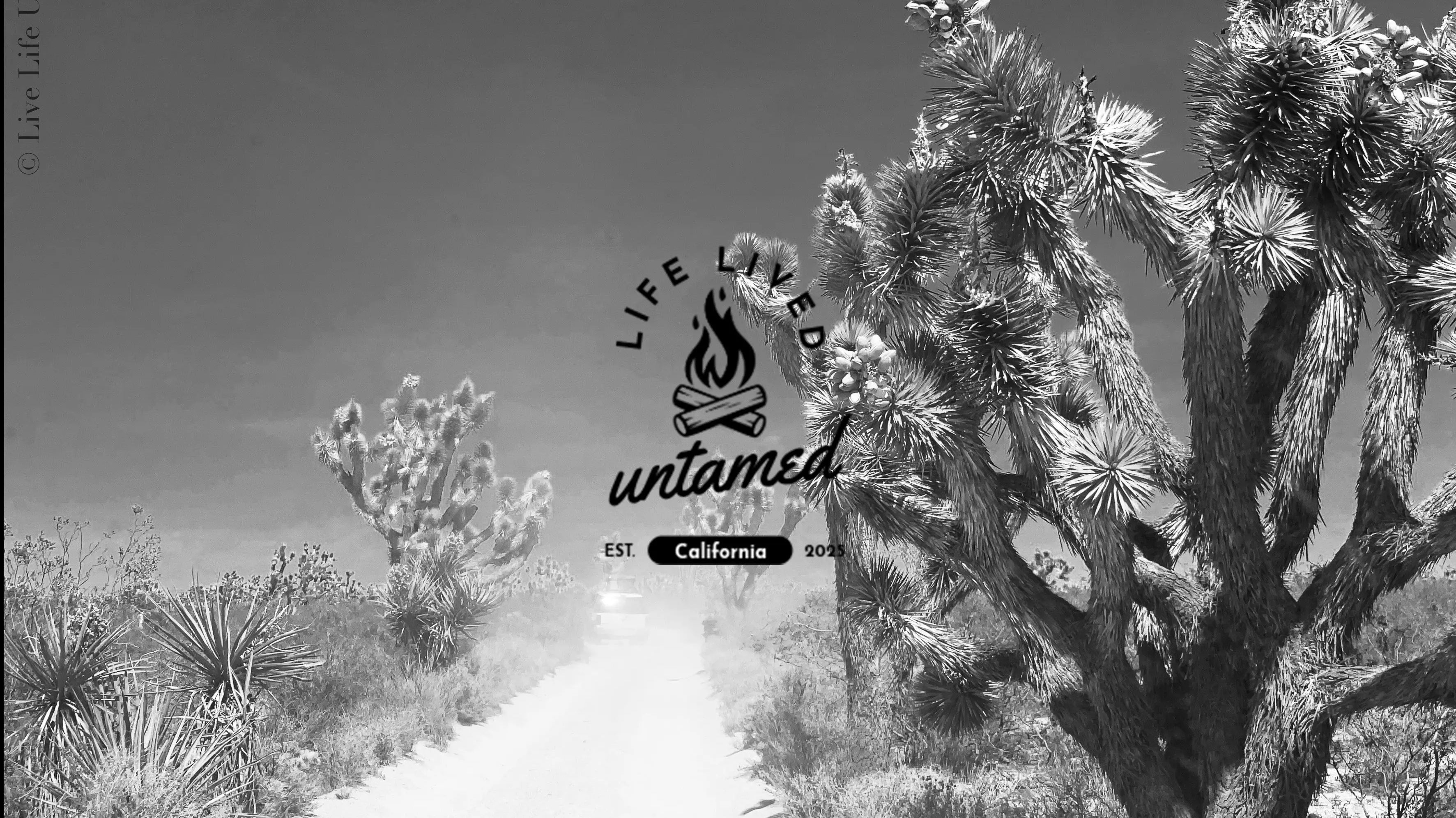 Why Life Lived Untamed Is the Ultimate Store for Outdoor Lovers & Free Spirits