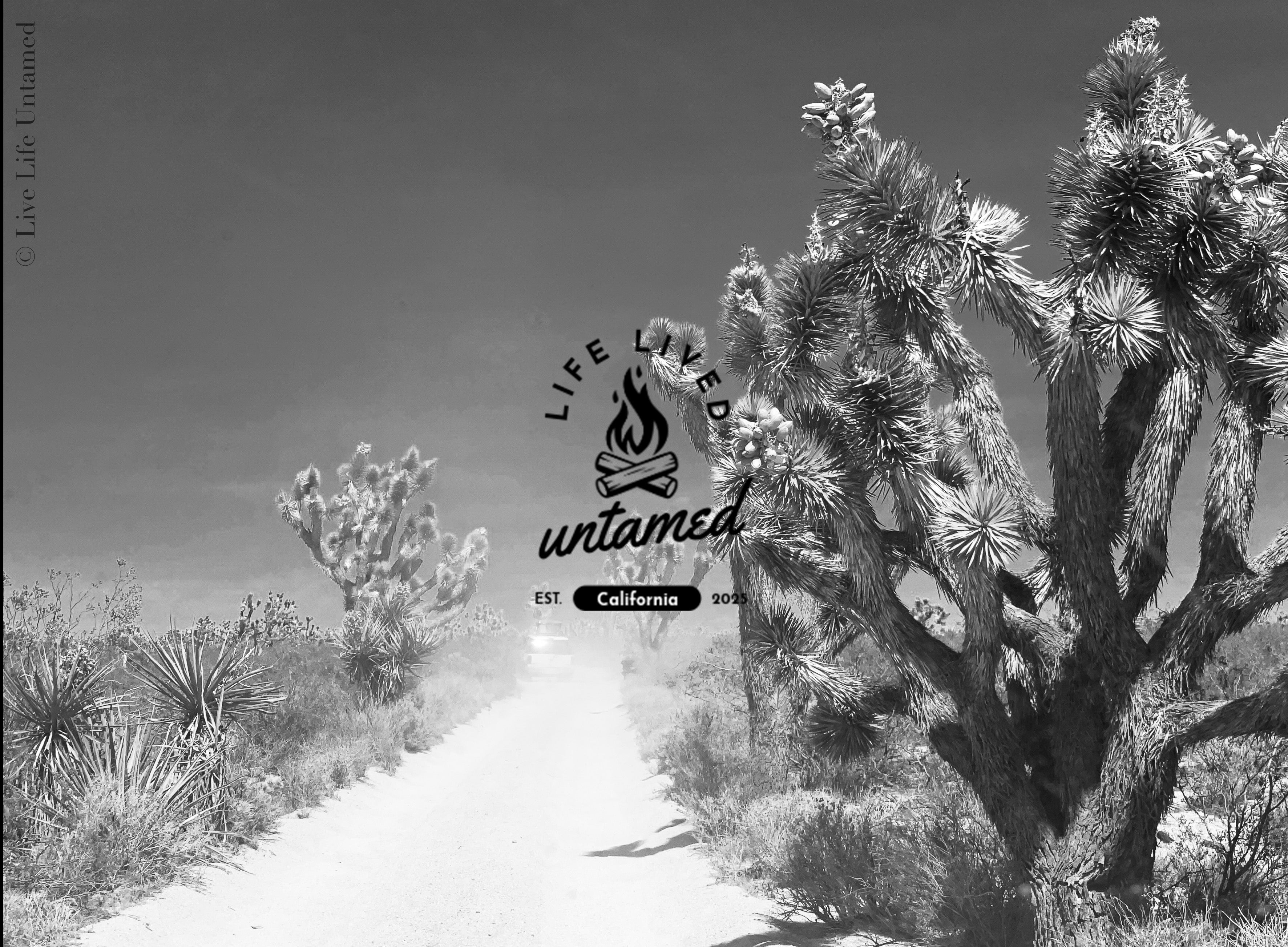 Why Life Lived Untamed Is the Ultimate Store for Outdoor Lovers & Free Spirits