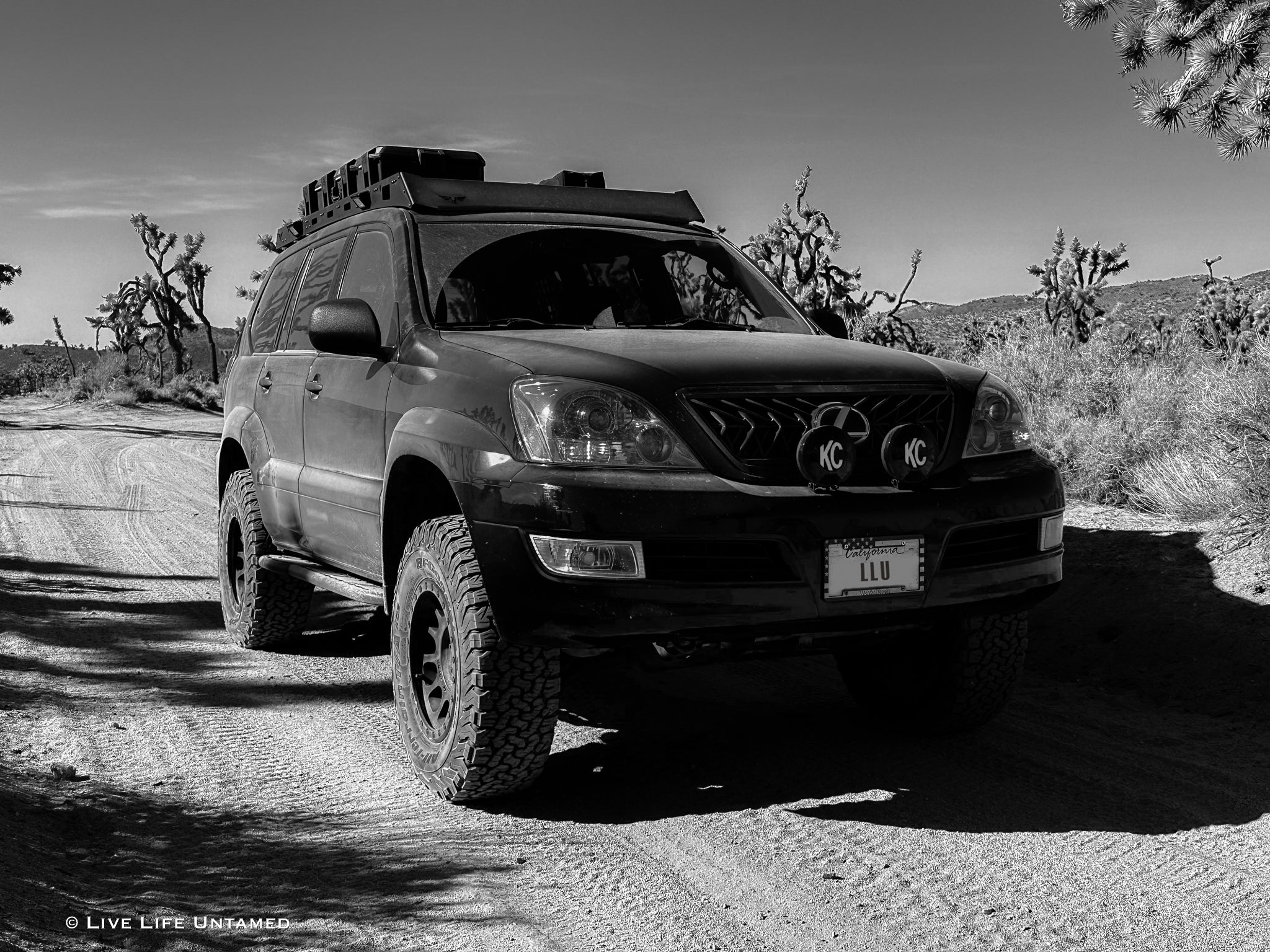 Black SUV on a dirt road in a desert landscape with Joshua trees.